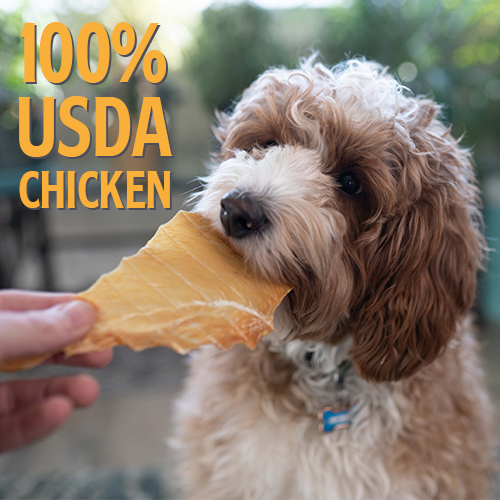 Nala And Luca's Chicken Jerky 16oz - "The 2 Pack"